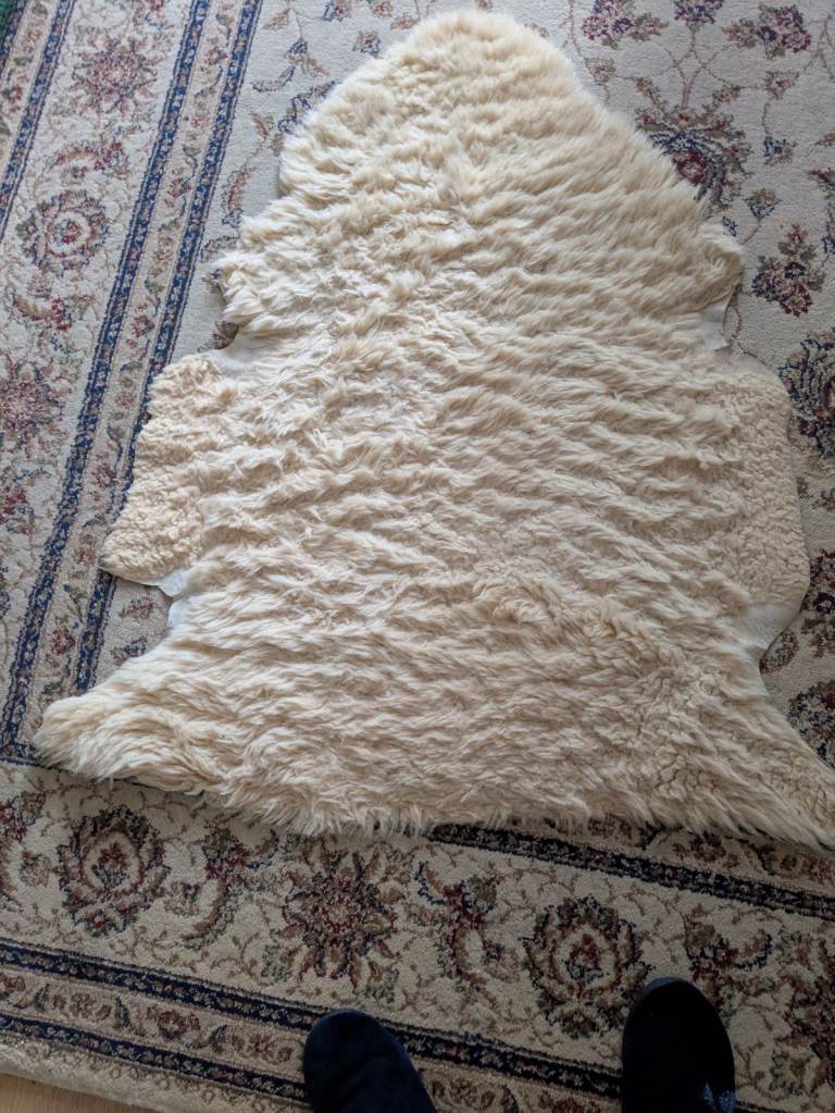 A real sheepskin rug, of creamy colour, from pet and smoke free home, £ 10