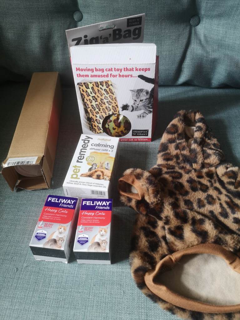 Cat bundle - toy and accessories 