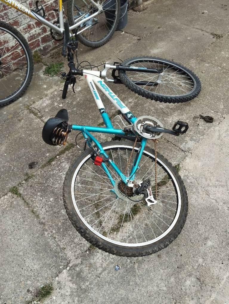 Good python bike 