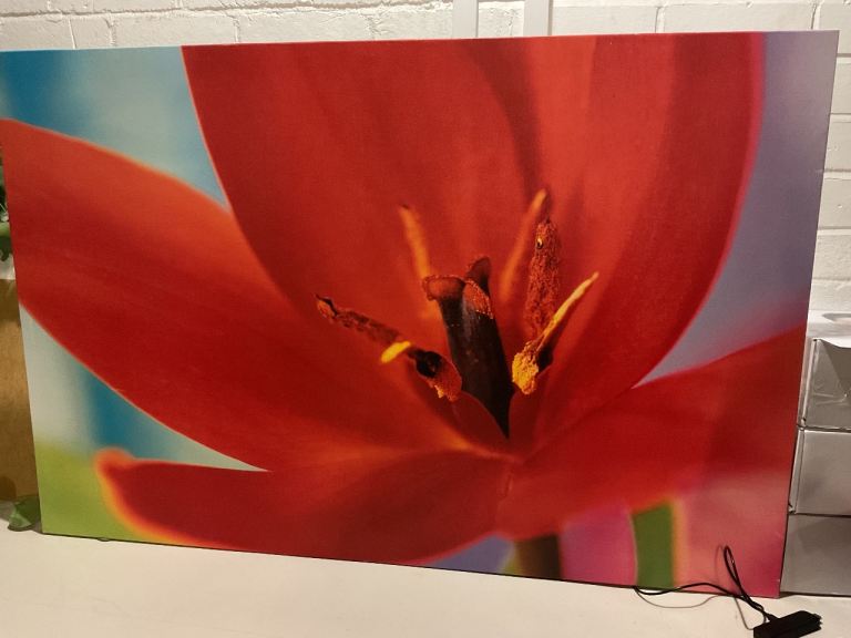 Extra large canvas picture, floral red flower print huge big 