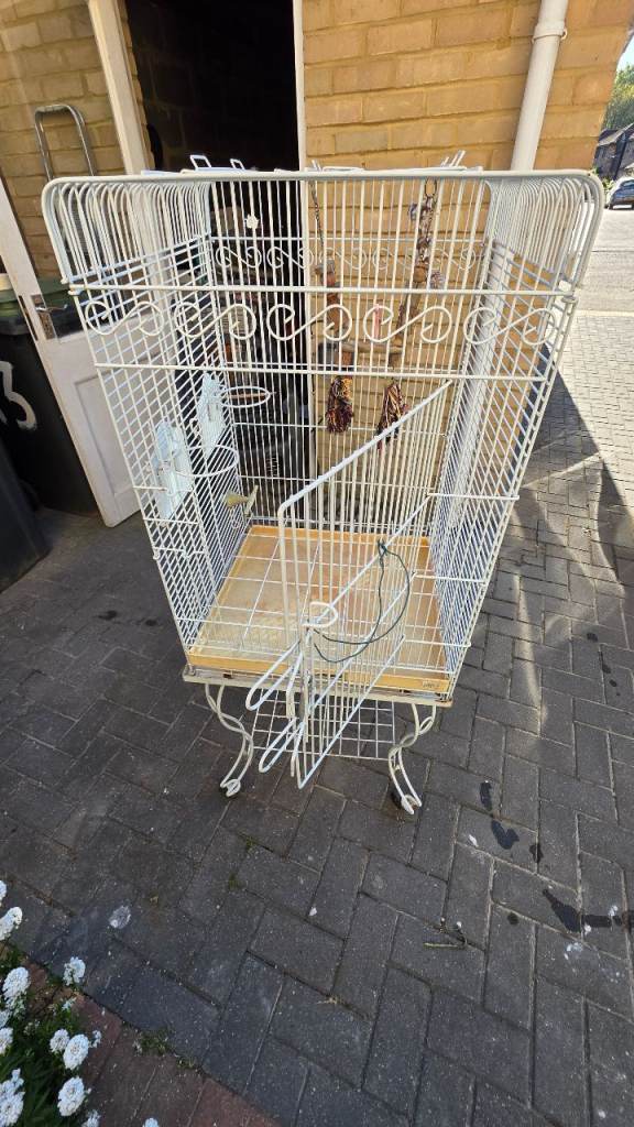 White Metal Bird Cage