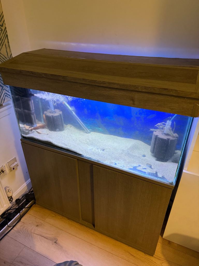 150L fish tank full set up