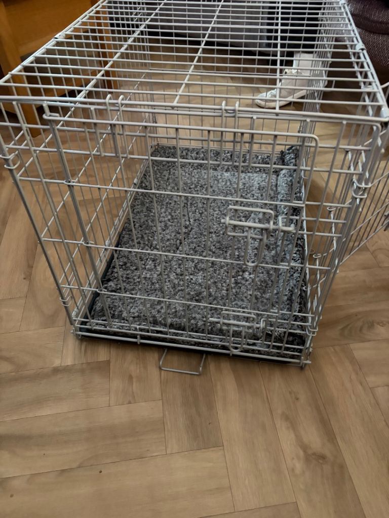 Small dog crate 