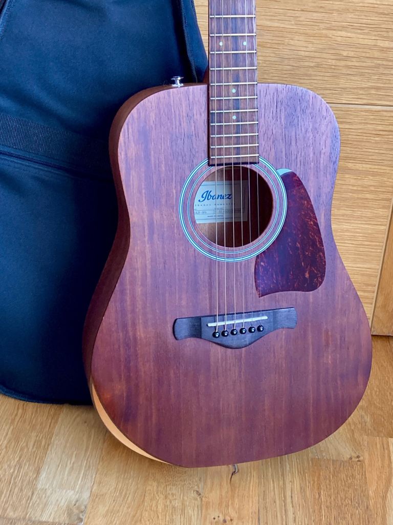 Ibanez Artwood AW54JR Acoustic Guitar with Gig Bag (Excellent condition)
