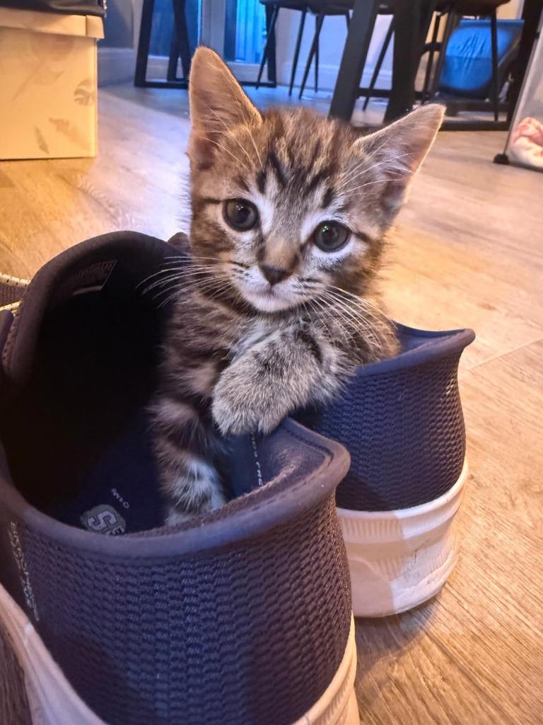 Beautiful little lady 
