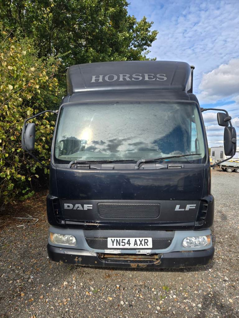 Daf horse box