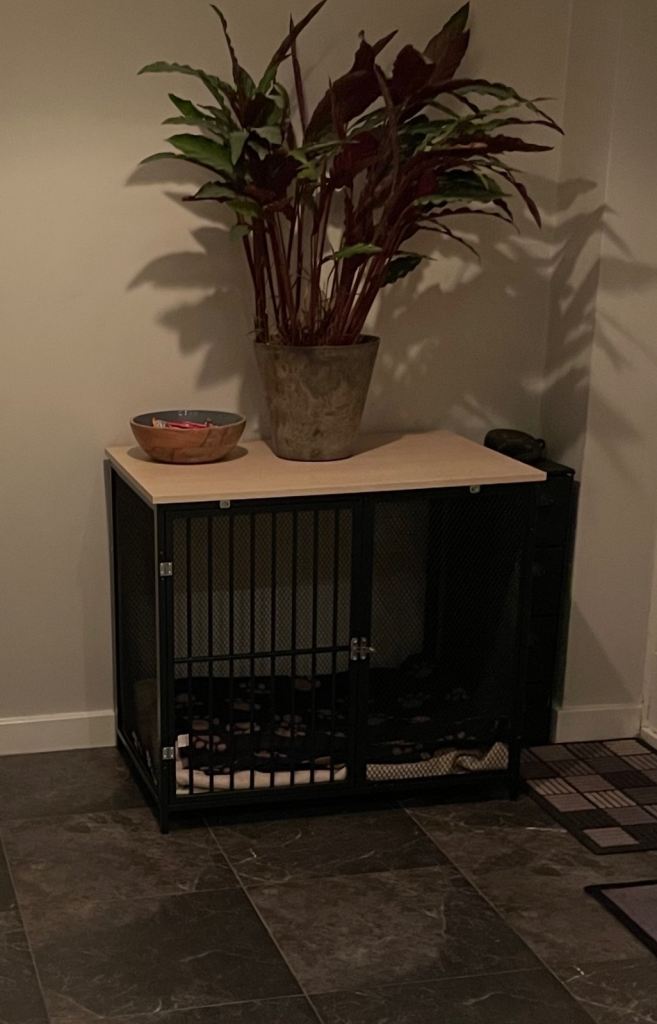 Beautiful dog crate 
