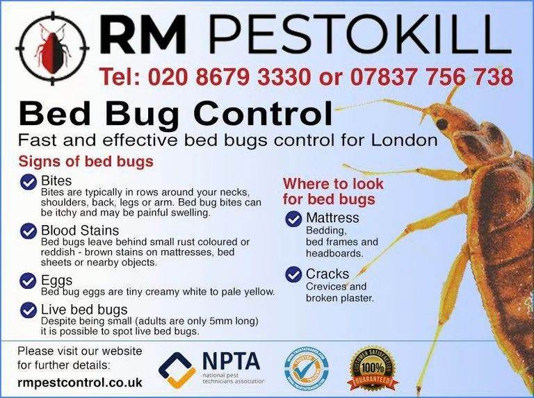 image for Say Goodbye to Pests! Expert Pest Control – Bed Bug, Wasps, Rats Etc. Fast & Affordable! 🚫✅