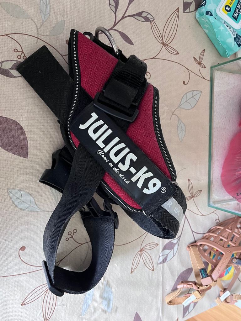 Small Dog Harness