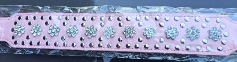 Pink dog collar 