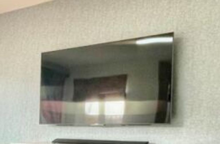 Sony Bravia 65” television