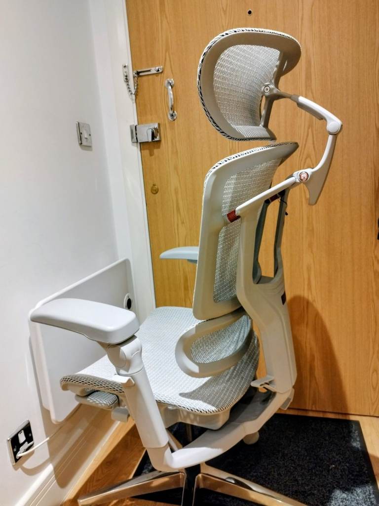 Flexispot ErgoX Pro ergonomic chair