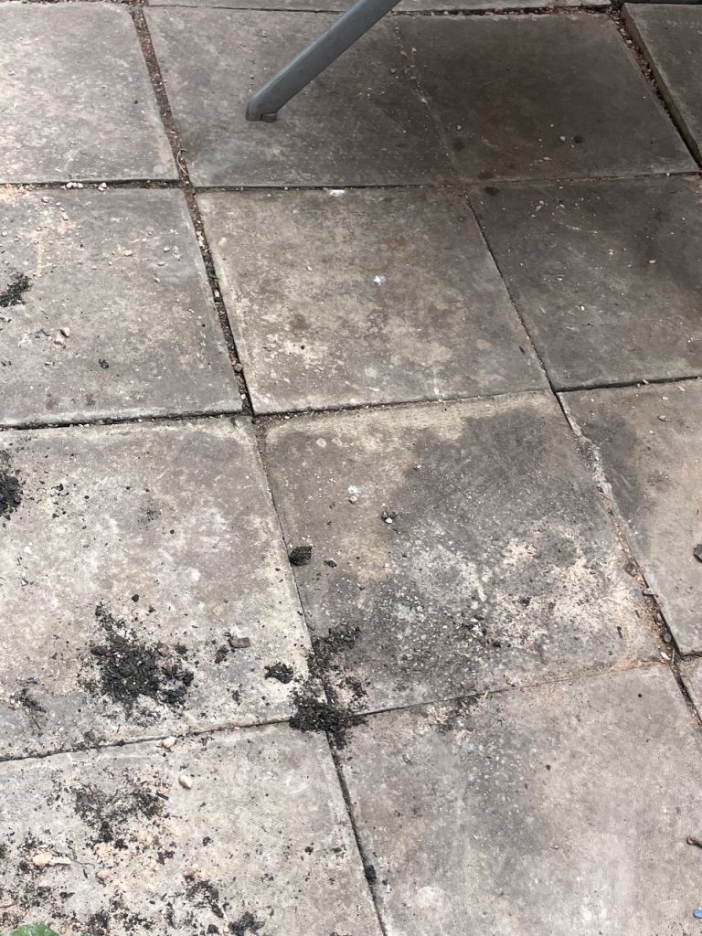 Free garden slabs