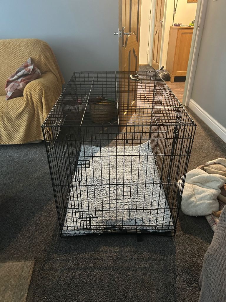 Dog crate 