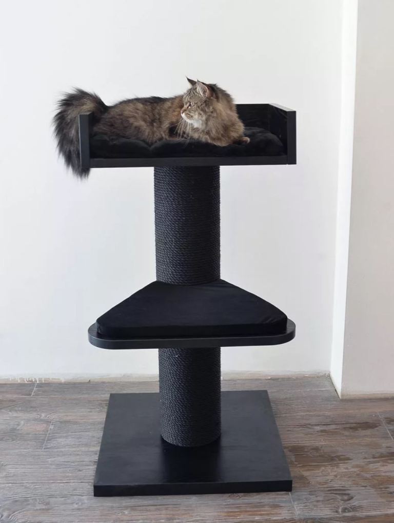 Cat tree unused 
