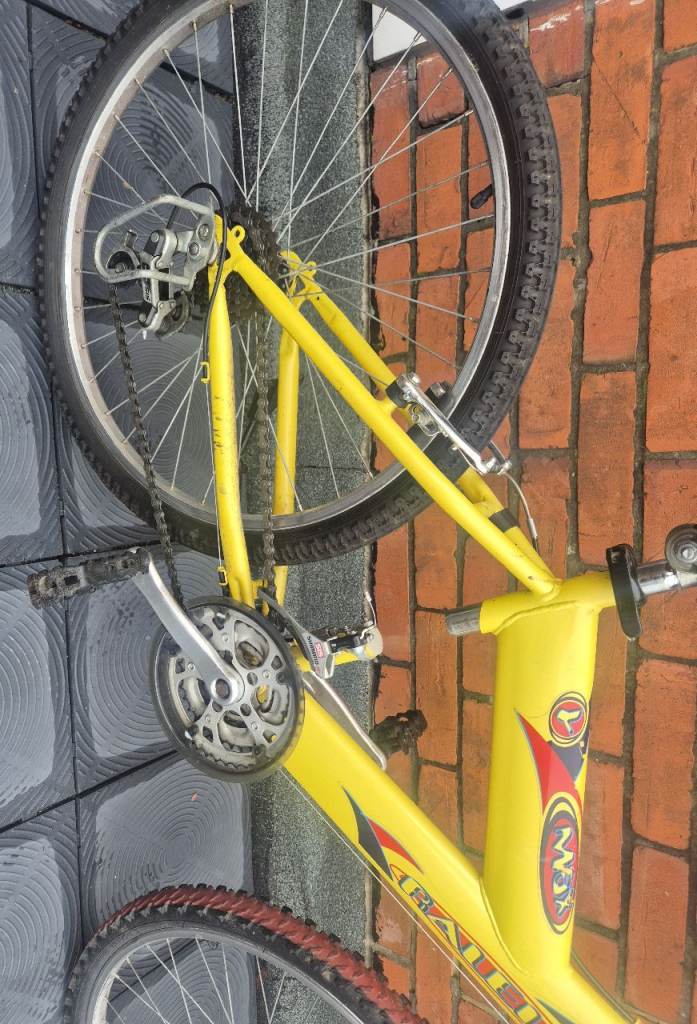 Raleigh Max Mountain Bike
