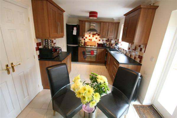 Fully Furnished Double Room Available in Quiet, Mature and consious City Centre HomeShare 