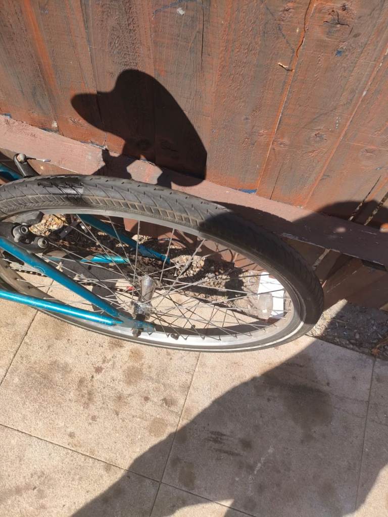 Ladys giant bike
