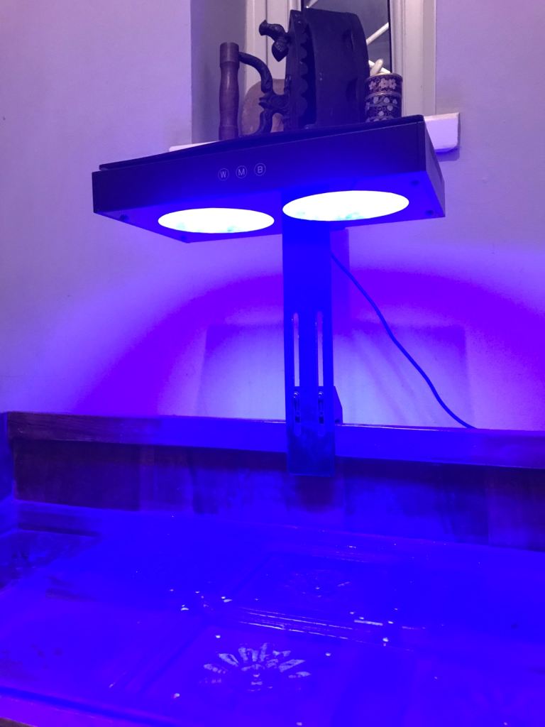 NICREW HYPERREEF 100- twin aquarium LED lights with adjustable fixed mount stands, x2 available