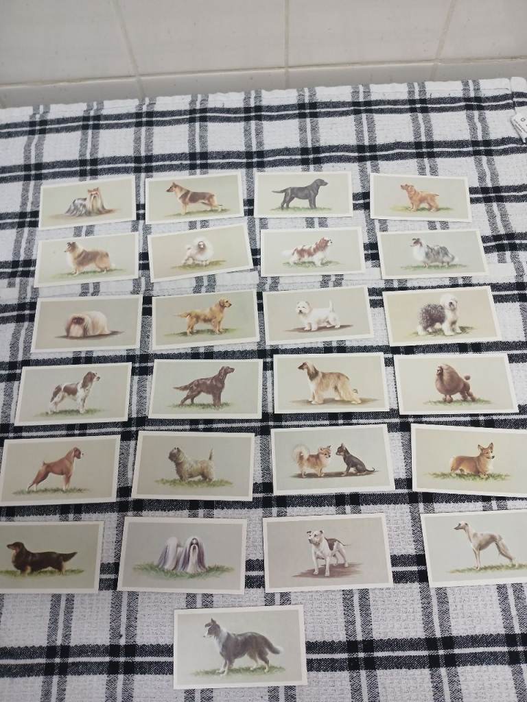 Top dogs collection 
