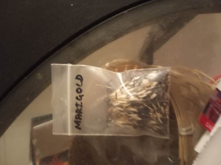 Home grown plants seeds
