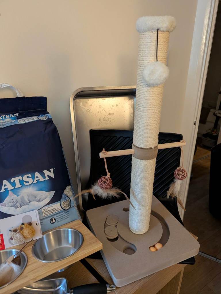 cat starter bundle – scratching post, bowls, litter & accessories – unused