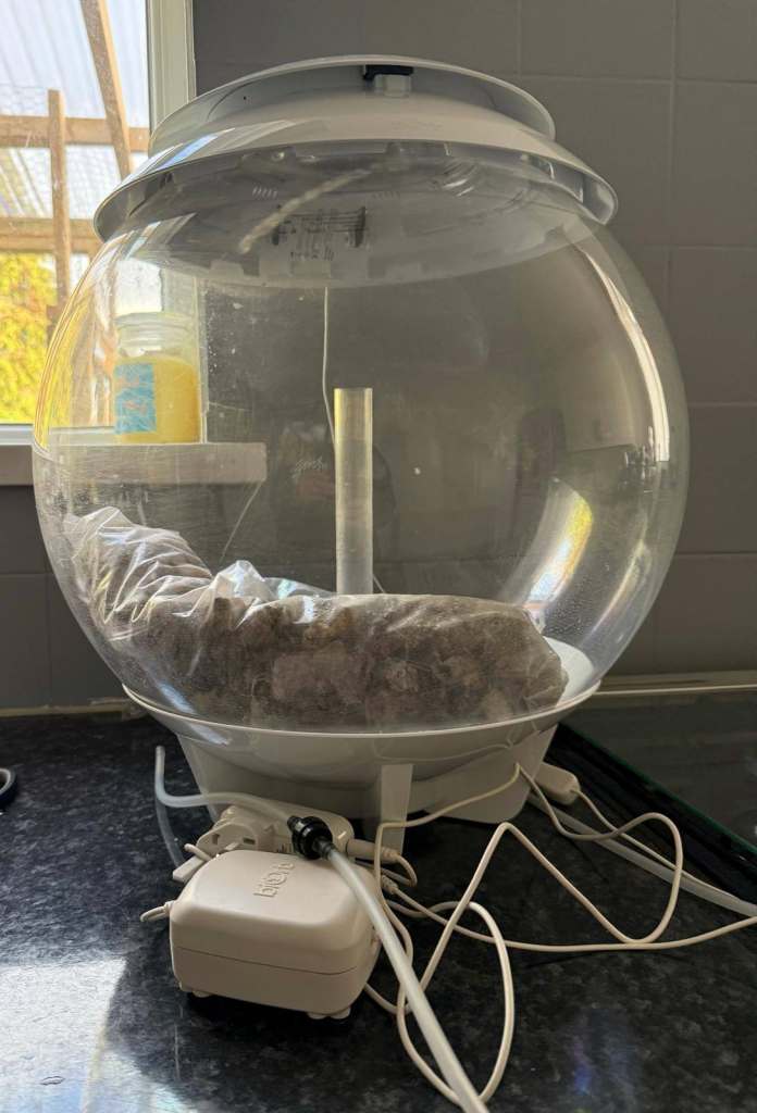 BiOrb Fish tank 30ltr