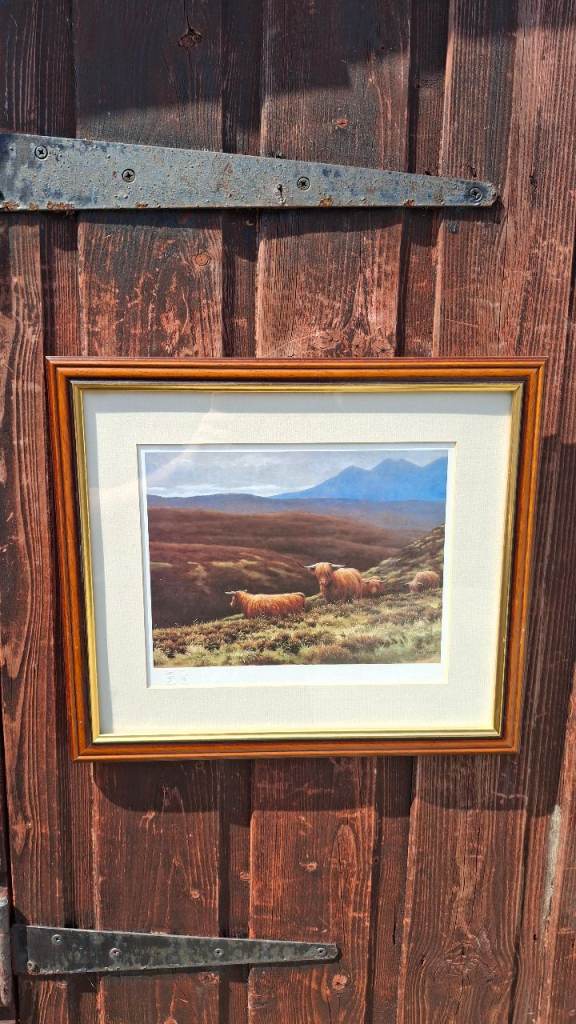 Highland Cow Print 