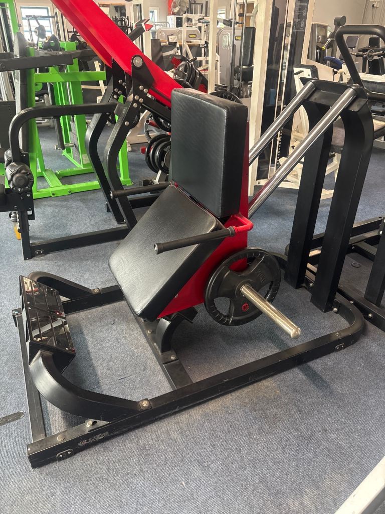 Plate loaded Calf raise/ Hack squat