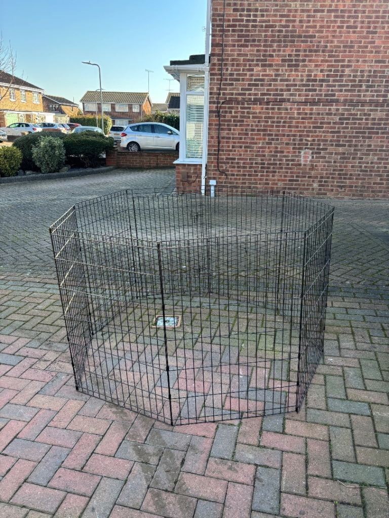 Dog pen 