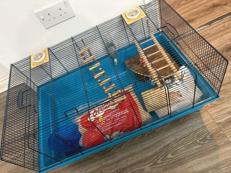 Hamster cage, toys, bowl, some food, sawdust and bathing sand