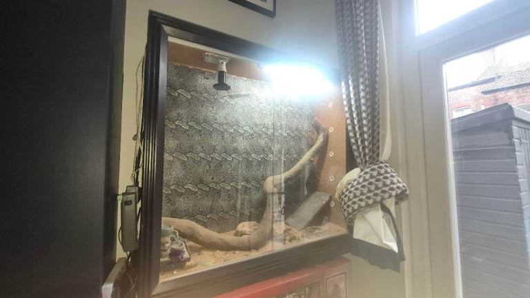 Beautiful handmadevvivarium 