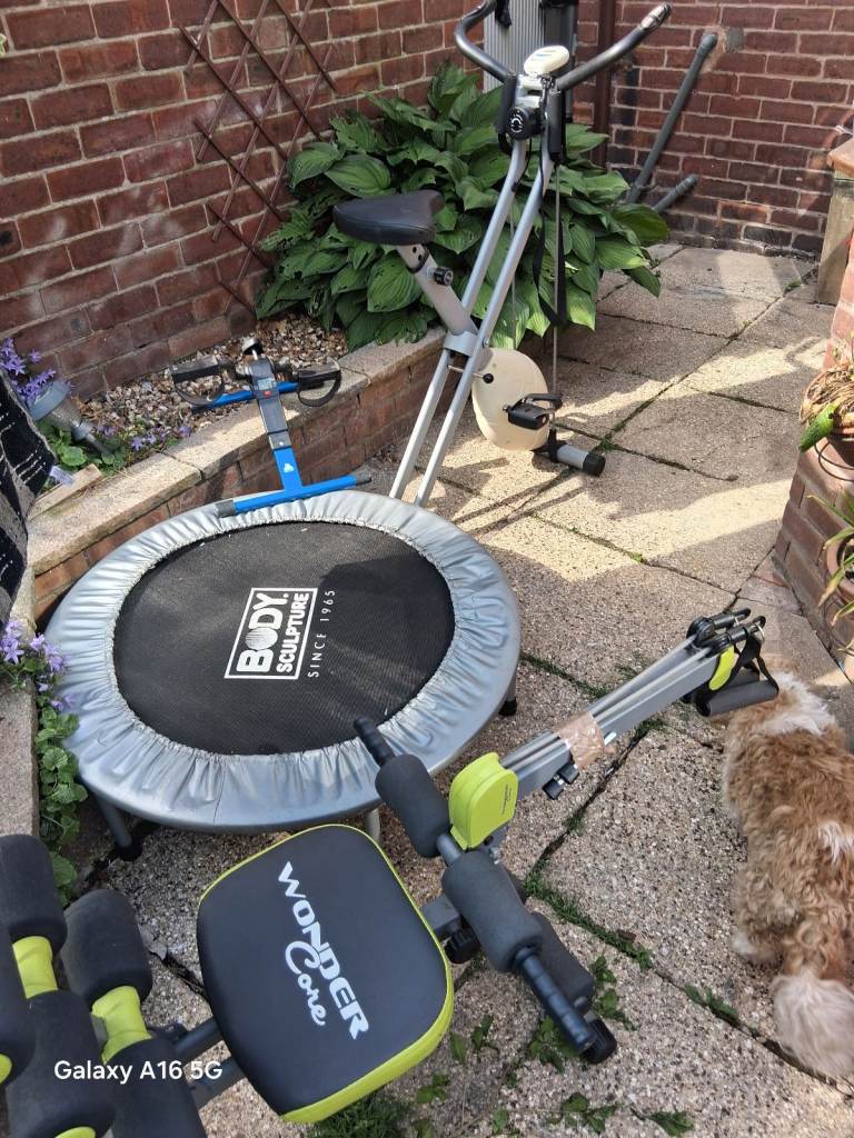 Home gym conservatory workouts job lot