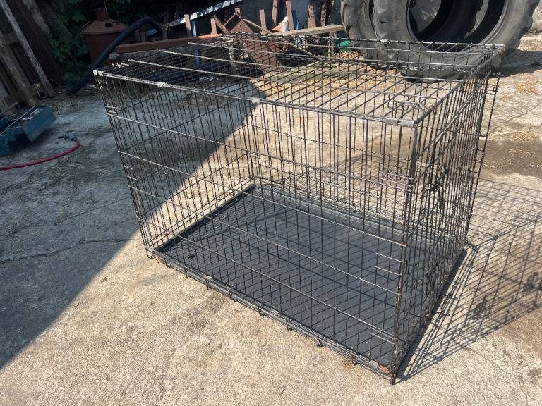 Large dog crate 