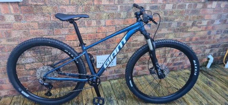 Giant mountain bike