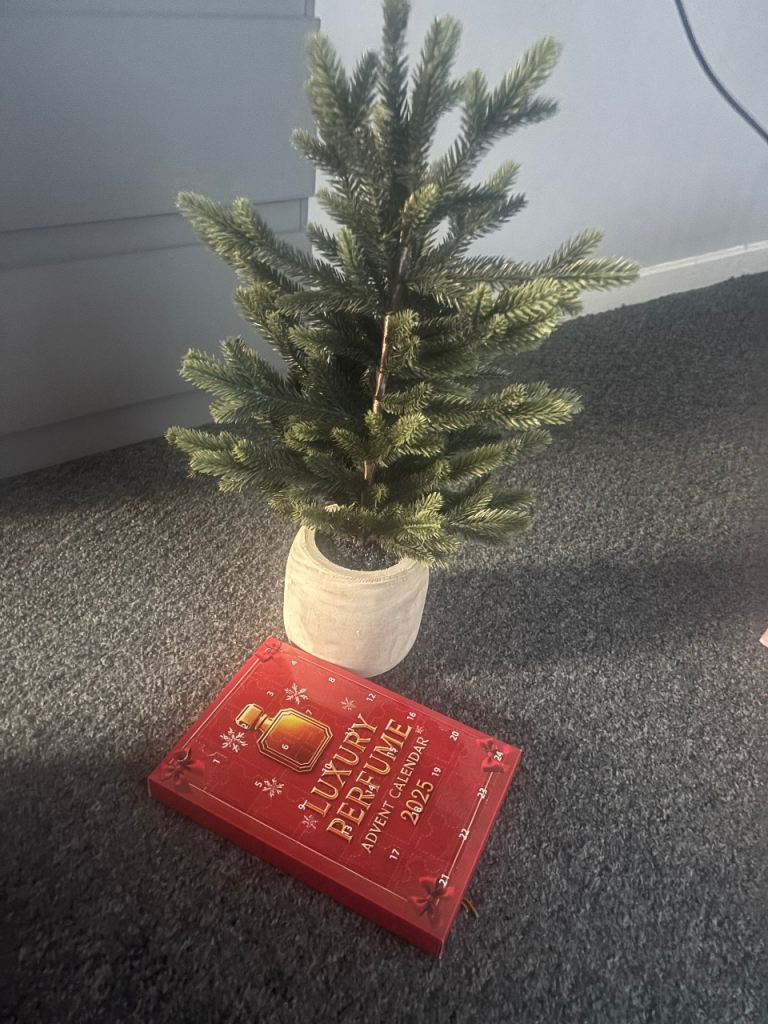 Christmas tree and decoration