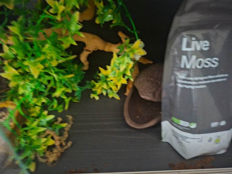 Vivarium 