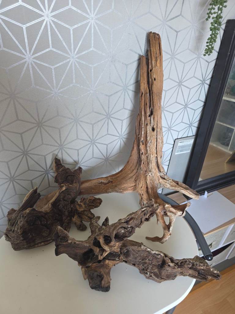 Decorative bogwood for aquariums 