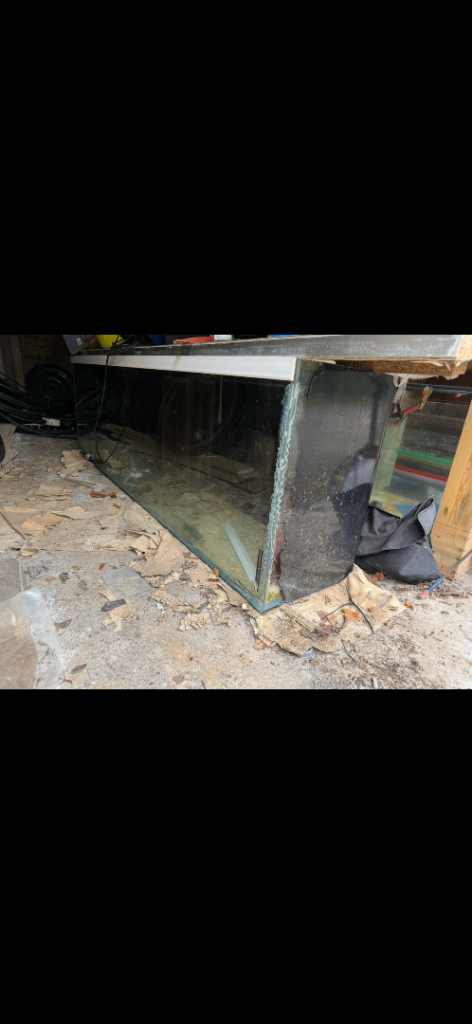 7ft fish tank free