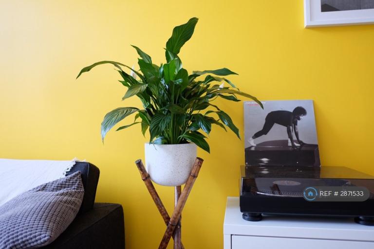 1 bedroom flat in Dale St, Manchester, M1 (1 bed) (#2871533)
