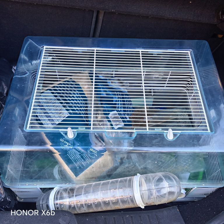 Hamster cage