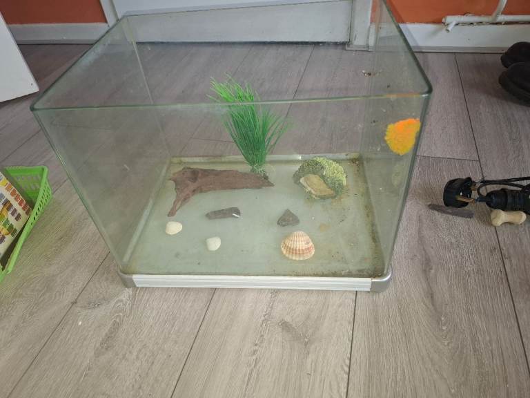 Fish tank and accessories