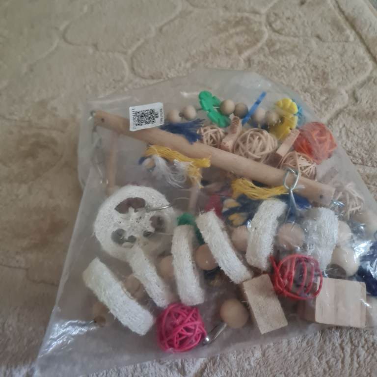 Guinea pig toys
