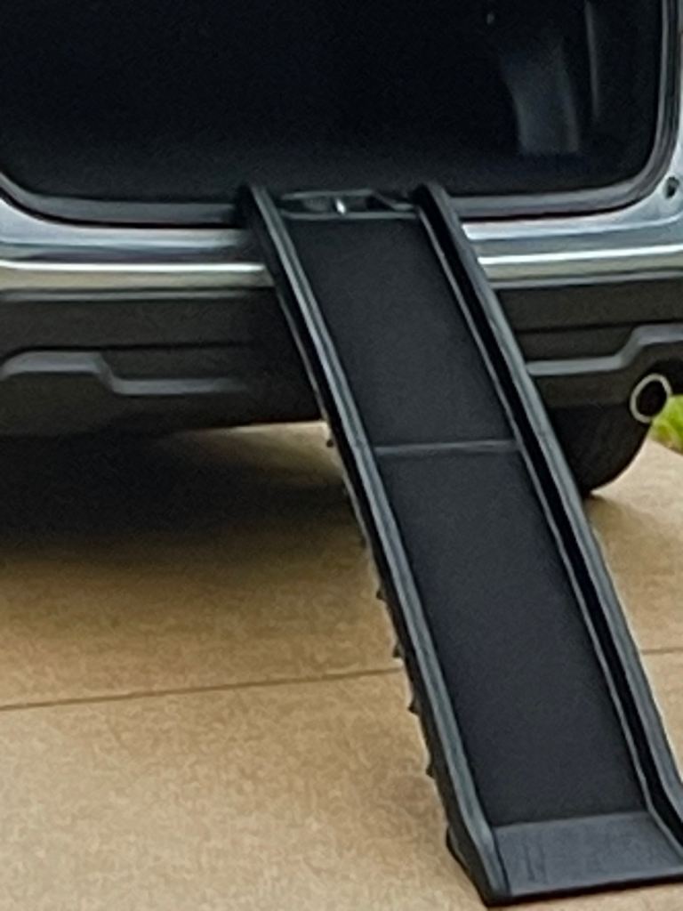 Pet Ramp