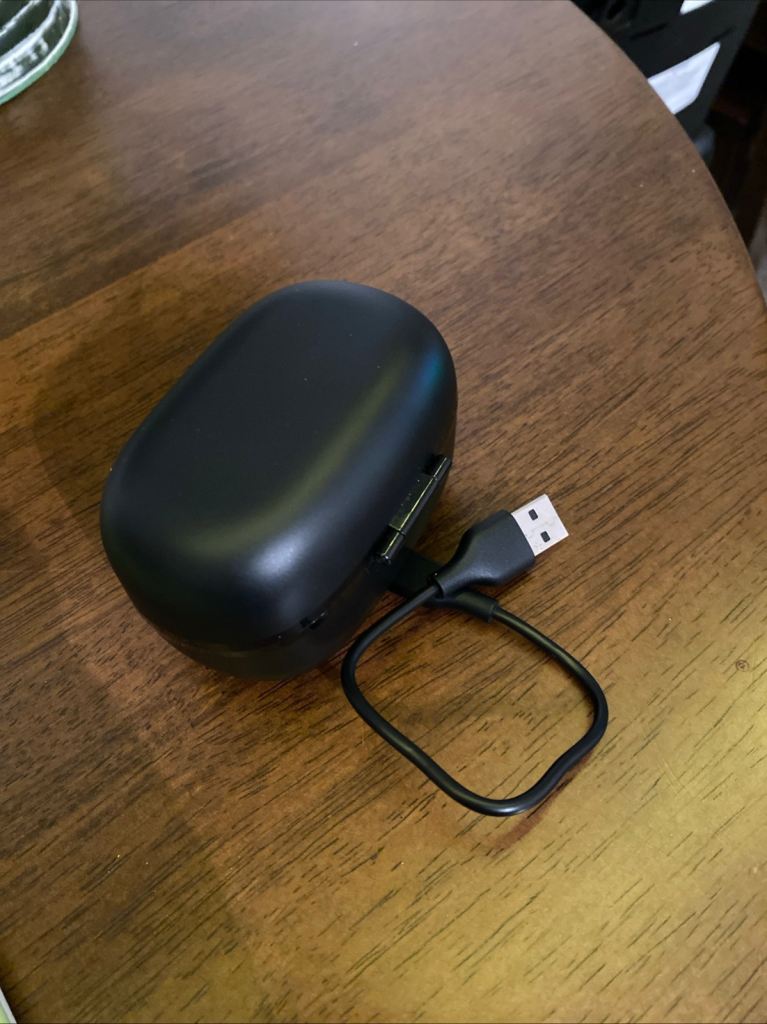 Hearing Aids with Charging Case and USB Cable