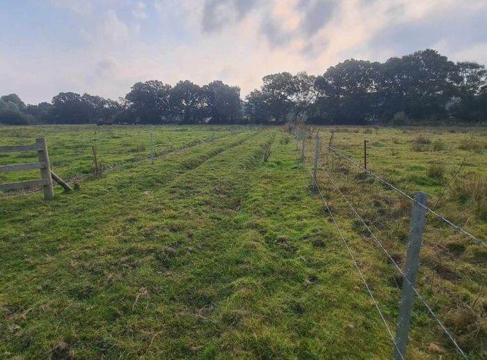   Plot of Land for sale in England ~ Landford Plot 