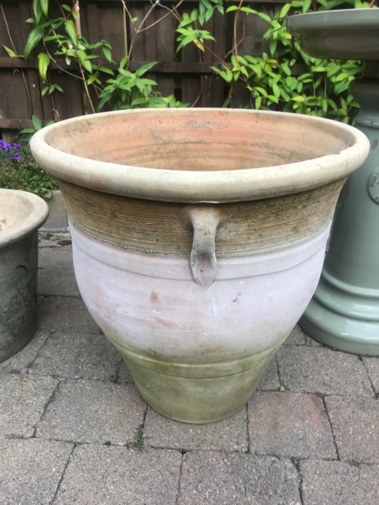 Terracotta Garden pot