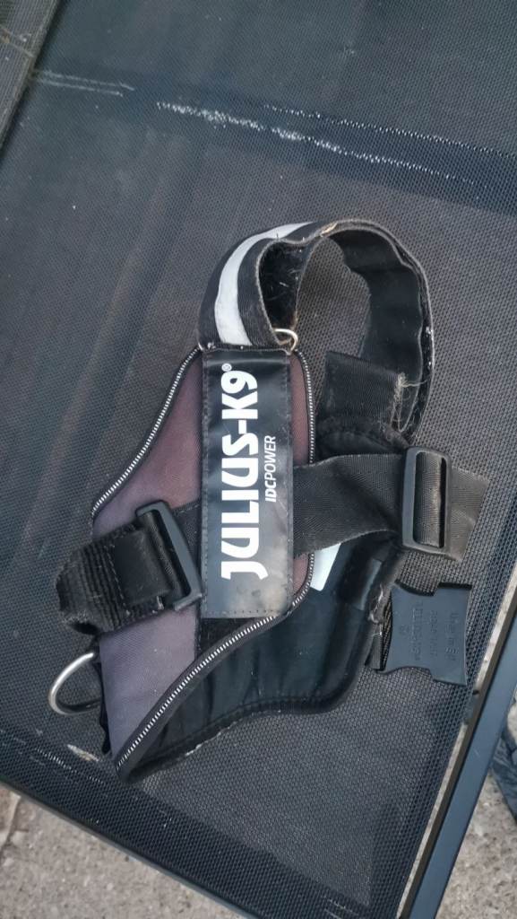 Julius k9 harness large 