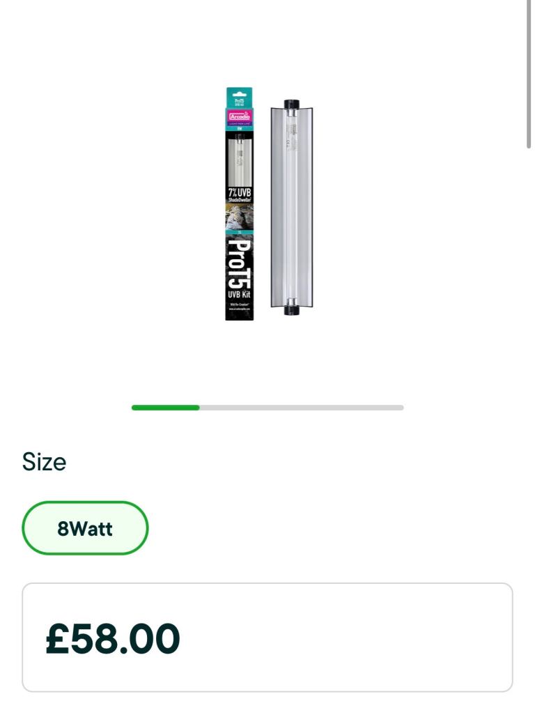 Reptile enclosure light