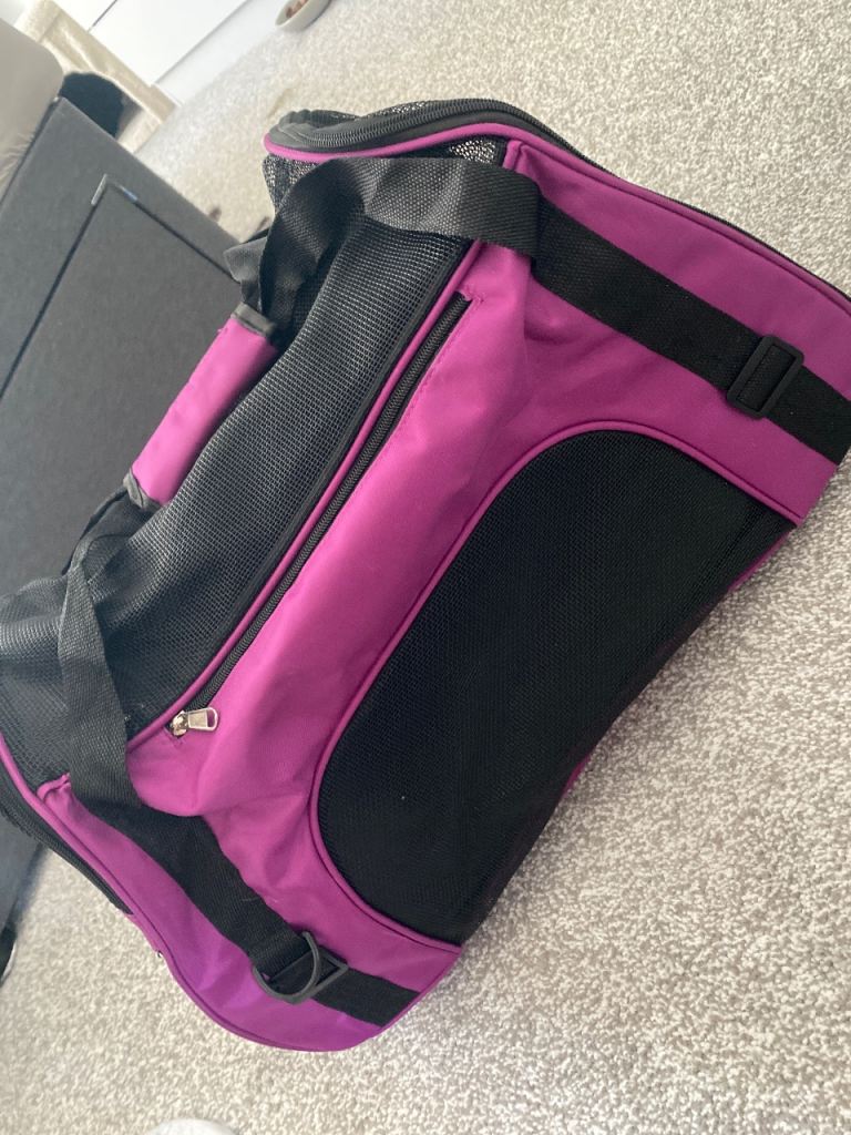 Cat carrier - great condition